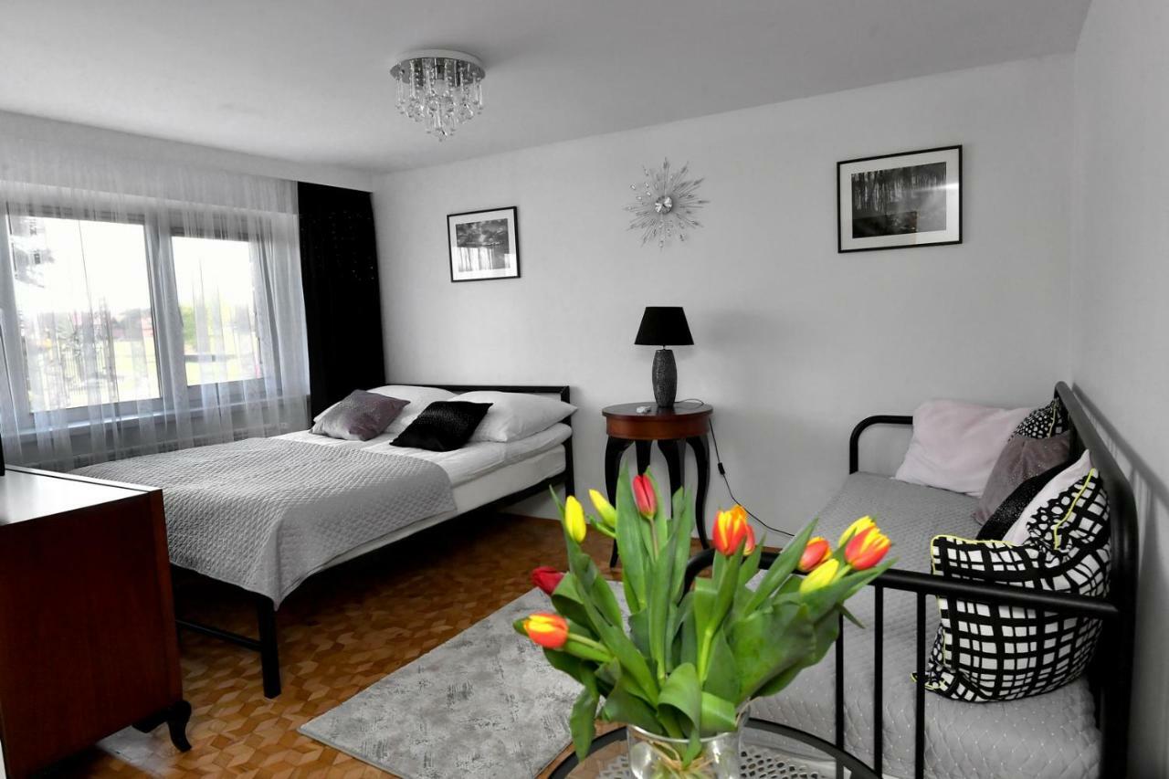 Apartament Spytkowice - Energylandia Krakow Oswiecim Wadowice Eksteriør billede
